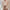 Spitzenbluse Damen Vintage Elegant Zeitlos – Sophie