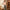 Schlafanzug Damen Bequem und Stilvoll – Emilia