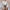 Spitzenbluse Damen Vintage Elegant Zeitlos – Sophie