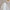 Spitzenbluse Damen Vintage Elegant Zeitlos – Sophie