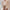 Spitzenbluse Damen Vintage Elegant Zeitlos – Sophie