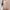 Spitzenbluse Damen Vintage Elegant Zeitlos – Sophie