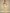 Satin Maxikleid One Shoulder Elegant – Amira
