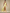 Satin Maxikleid One Shoulder Elegant – Amira