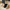 Elegante Lederschuhe für Damen – Elea