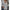 V-Ausschnitt Plus-Size Bluse mit Pailletten – Annelie