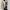 Elegante Übergangsjacke mit Satin-Finish – Alina