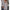 V-Ausschnitt Plus-Size Bluse mit Pailletten – Annelie