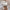 Spitzenbluse Damen Vintage Elegant Zeitlos – Sophie