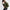 Elegante Übergangsjacke mit Satin-Finish – Alina