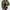 Elegante Übergangsjacke mit Satin-Finish – Alina
