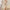 Gatsby Pailletten-Fransenkleid im 20er-Jahre-Stil – Vivienne