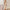 Gatsby Pailletten-Fransenkleid im 20er-Jahre-Stil – Vivienne