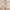 Gatsby Pailletten-Fransenkleid im 20er-Jahre-Stil – Vivienne