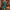 Flapper Kleid mit Pailletten und Fransen – Damen