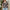 Elegante Chiffon-Bluse mit V-Ausschnitt – Alina