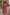 Boho Midi-Kleid mit Knöpfen & Blumenmuster – Elara