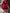 Elegantes und vielseitiges Kleid für jeden Anlass – Freya