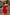 Sexy & elegantes Bodycon-Kleid für Damen – Emma