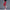 Bequeme Damen-Caprihose mit modischem Design – Laura