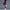 Bequeme Damen-Caprihose mit modischem Design – Laura