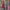 Zeitloser & vielseitiger Damenrock – Elena