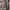 Zeitloser & vielseitiger Damenrock – Elena