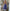 Zeitloser & vielseitiger Damenrock – Elena