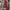 Zeitloser & vielseitiger Damenrock – Elena