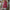 Zeitloser & vielseitiger Damenrock – Elena