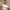 Punk Sonnenbrille UV400 Schutz Quadrat-Design – Leon