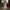 Elegantes Pailletten-Cocktailkleid mit Federbesatz – Valeria