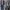 Lässiges Damen Hemd Denim Oversized Stil – Anna