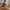 Luftiges Wickelkleid mit Schlitz & Boho-Print – Lisa