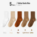 Hochwertige Business-Trachten-Socken aus Baumwolle – Colin