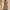 Warme Damen-Fleecejacke mit leichtem Design – Mila