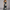 Midikleid Damen Elegant Blumen Tailliert Alltag Sommer – Elanoria