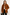Damen Frühlingsjacke Elegant Leicht Zeitlos – Avianna