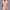 Kleid Damen Elegant V-Ausschnitt Figurfreundlich Komfort Alltag – Elverina