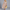 Elegantes Maxikleid für Damen mit perfekter Figur – Lara