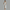 Elegantes Damen Waist Dress mit Bustier-Design – Lorena
