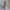 Elegantes Maxikleid für Damen mit perfekter Figur – Lara