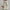 Damen Daunenjacke mit femininer Passform – Bellaria