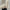 Damen Daunenjacke mit femininer Passform – Bellaria