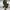 Damen Strickkleid elegant weich für Herbsttage – Lara