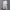 Midikleid mit Punkten und taillierter Passform – Annelie