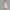 Elegantes Damen Waist Dress mit Bustier-Design – Lorena