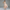 Elegantes Damen Waist Dress mit Bustier-Design – Lorena