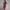 Elegantes Midi-Kleid mit V-Ausschnitt & Schlitz – Luciana