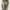 Damen Kapuzenjacke mit Karomuster und Fleecefutter – Rovena